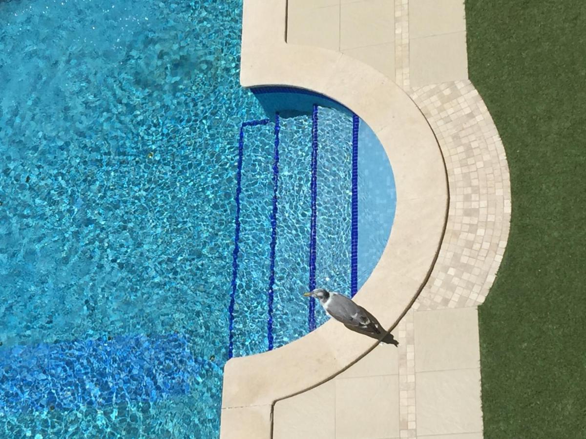 3 Min Walking To Peneco Beach Albufeira At Sol A Sul Apartments Экстерьер фото